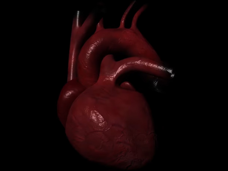 Personal Portfolio Images