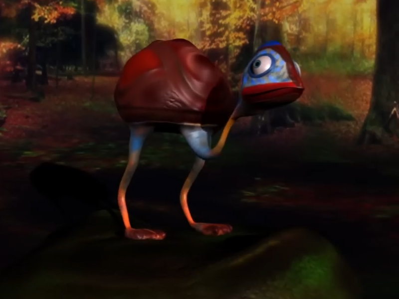 Personal Portfolio Images